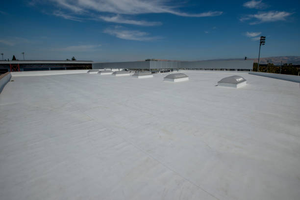 Sheet Metal Roofing in Grant, MN