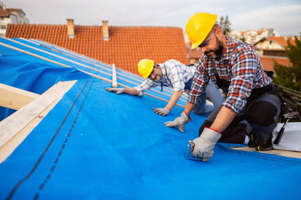 Roof Insulation Installation in Grant, MN